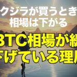 クジラが買うとき相場は下がる～今BTC相場が緩く下げている理屈