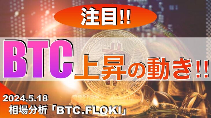 【BTC FLOKI】ビットコイン上昇の動き‼︎（2024年5月18日相場分析）