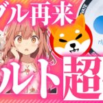 【リップル？柴犬？】億り人を量産したバブルの本格上昇がいよいよ到来？！BTC・ETHよりアルトコインが激アツです 【仮想通貨最新情報】【ビットコイン】