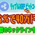 【 ビットコイン（BTC）リップル（XRP）】機関投資家が資産の5%をポートフォリオに加わるだけで時価総額は7兆ドル以上に急騰！【仮想通貨】