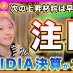 【注目！】ビットコイン・次の上昇材料はNVIDIAの決算です！ポイントを解説します！【最新の仮想通貨分析を公開】