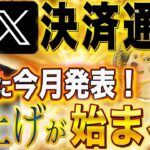 X決済通貨が5月●●日に発表！【DOGE、イーロン本気で動きます！】CAWとSHIBはどうなる！？#caw  #shib  #doge  #仮想通貨  #リップル