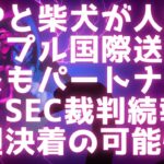 リップル国際送金パートナー / 柴犬とXRPが人気 / SEC裁判今週決着あるか #xrp #リップル 【リップル最新情報】
