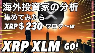 リップルXRP XLM 海外投資家の分析を集めてみたらXRPの価格が230ドル