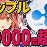 【リップル(XRP)】10000ドル到達予想！国がXRPの価格を「設定」する可能性あり！