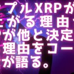 XRP6月に大注目 / 不自然な一致 / コーダ開発者が語るXRP / XRPだけが特別な理由 #xrp #リップル