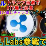 リップル（XRP）Labsが参戦で爆上げ必至⁉トランプ大統領当選でBTC爆上か！仮想通貨市場はこれから更に盛り上がる！テンセットCATAMOTO IDO第二弾はペンギン？！