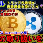 リップル（XRP)コインベースで取引再開！アメリカが仮想通貨No1！日本のWeb3先進国はどこへ？テンセットCATAPULTIDOのBURNCATが凄い！