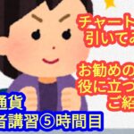 【チャートに線を引いてみよう(超基礎編)】仮想通貨・初心者講習⑤時間目