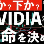 【上か？下か？】エヌビディアの決算は株式市場の運命を決める？