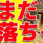 【超有料級】ビットコインは今後どこまで暴落する⁉︎最新シナリオを徹底解説！【仮想通貨】