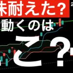 【米株耐えた？】次に動くのはここだ！