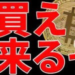 ⚠️絶対見ろ⚠️ビットコインに最後の買い場が来る⁉︎今後の最新シナリオ共有します！【仮想通貨】