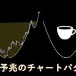 【完全保存版】バブル前の典型的チャートを今のビットコインは描いているかもしれない