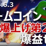 ミームコイン爆上げ祭り第2波が発生。ビットコインより買い?