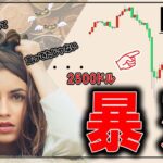 【続・暴落】ビットコインこの後の値動き2つのパターンと買い場