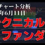 2024年6月11日ビットコイン相場分析