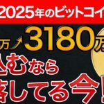 【固い】ビットコインの未来は明るい！2025年に1BTC＝3180万円の真実！ #仮想通貨　#ビットコイン
