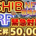 【仮想通貨】リップルと国立銀行””緊急対談””50,000%上昇確定！？NFT😈真のダークホース😈誕生‼︎#btc #shib #eth  #caw #doge