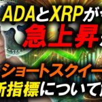 ADAとXRPの急騰のチャンス！ショートスクイーズと最新指標を解説