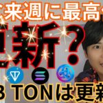【ビットコイン来週に最高値更新?!】仮想通貨 BNB トンコインは更新済み！