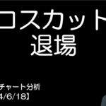 BTC短期チャート分析【2024/6/18】ロスカット。退場しました。（併し乍ら夏に80,000ドルを目指すと思う理由）