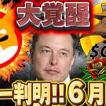 【CAW/SHIB】※遂に覚醒の時※2大イーロン銘柄の最新情報徹底解説します!!