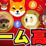 【🔥爆騰ミームコイン】ビットコイン最高値へ！注目コイン目白押し｜イーサリアム高騰前・６月に何が起こる｜ドージコイン・柴犬を超えられるか？犬系が強い｜LINEスタンプ発売間近