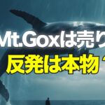 Mt Goxは売り？反発は本物？