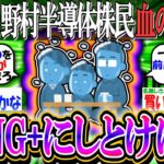 【新NISA/投資】野村半導体株民、血の気引く「これが半導体の怖さ…FANG+にしとけばよかった」【2ch有益スレ/お金/S&P500/NASDAQ100/NVIDIA/インデックス】