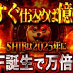 【SHIB（シバイヌコイン）】シバイヌコインETFが2025年に誕生？！今仕込めば◯◯倍を掴める大チャンス！！【仮想通貨】【ビットコイン】