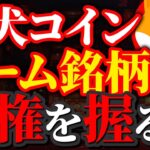 【柴犬コイン(SHIB)】SHIBAがミームコインの覇権を握る！？【仮想通貨】