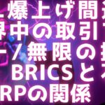XRL＋ILPで全人類をカバー / BRICS同盟の進展とG7との比較 / 石油戦争とXRLの未来 #xrp #リップル