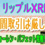 【 リップル（XRP）】銀行間の取引、見かけほど簡単ではない⁉【仮想通貨】ビットコインがシルバー（銀）に追いつく⁉