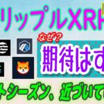 【 リップル（XRP）】煽られたアルトコインは期待外れ！なぜ？【仮想通貨】アルトシーズン指標では！