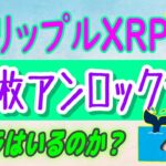 【 リップル（XRP）】リップルは7月に10億枚アンロックする予定！【仮想通貨】クジラはどこだ？