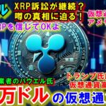 リップル(XRP)新訴訟の噂？CEOが釈明！アメリカでは仮想通貨を政治資金に！仮想通貨の覇権はトランプ氏が握っている！