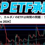 『まさかのXRPがETF承認!?』リップルの個人的な意見を解説します。『仮想通貨』