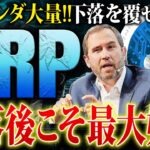 【リップル(XRP)】時期ETF候補に好ファンダ続々！急落後の今が買いのチャンスになるのか？リップルの今後を徹底解説【仮想通貨】