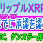 【 リップル（XRP）】イーサリアムETFは承認される！ゲイリー・ゲンスラー委員長が語る【仮想通貨】リップルステーブルコイン今年ローンチ！
