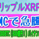 【 リップル（XRP）】FOMCでBTCが急騰！XRPは恩恵を受ける!?【仮想通貨】ビットコインクジラが8000枚バイナンスへ送金！