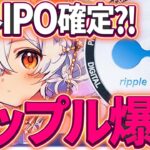 【リップル(XRP)】「アメリカでのIPOは全く意味がない」CEOがアメリカ国外へのIPOを示唆！【DOJO(ドージョー)】