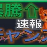 【仮想通貨ビットコイン今後】下限の攻防戦！初心者でもわかるテクニカル分析