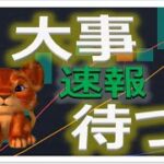 【仮想通貨ビットコイン今後】いつ上昇する！？初心者でもわかるテクニカル分析