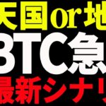 ⚠️超重要⚠️ビットコインが今後更に急落⁉︎それとも爆上げ⁉︎最新シナリオを共有！【仮想通貨】