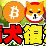 【🔥仮想通貨急騰】ミームコイン上昇！ドージコイン＆柴犬が吠える／ビットコイン上昇の影に世界的なシステム障害／ソラナが急上昇！10倍来るのか／急上昇コインは〇〇