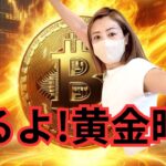 ビットコイン急上昇！トランプ氏の発言待ちで仮想通貨市場大興奮!!! もし2024年に仮想通貨始めたら… Bitcoin2024