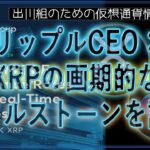 ［20240712］リップルCEO：XRPの画期的なマイルストーンを語る【仮想通貨・暗号資産】