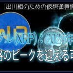 ［20240722］リップル(XRP)：2024年11月に価格のピークを迎える可能性【仮想通貨・暗号資産】