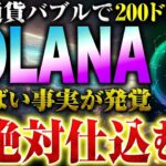 【仮想通貨ソラナ】2024年1番伸びる銘柄ソラナ×レイヤー2の最新銘柄爆誕！先行者利益獲得の方法を最速解説！【SOL】【SOLVM】